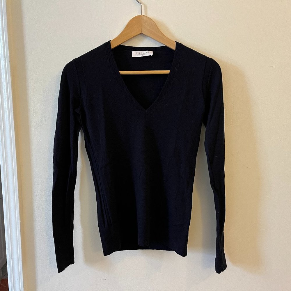 Everlane navy wool v-neck sweater
